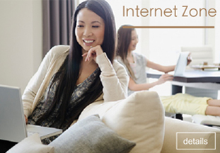 Internet Zone